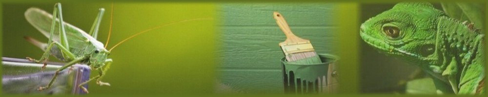 Baner